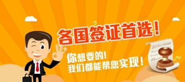 深旅簽證咨詢服務指南